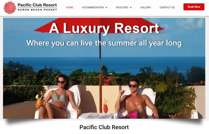 Freelans web master web designer Montenegro - order web site in WordPress amd Elementor Pro